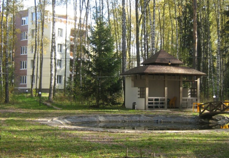ЖК «Витро Вилладж» (Vitro Village), дер. Киселево