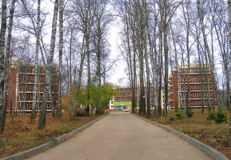 ЖК «Витро Вилладж» (Vitro Village), дер. Киселево