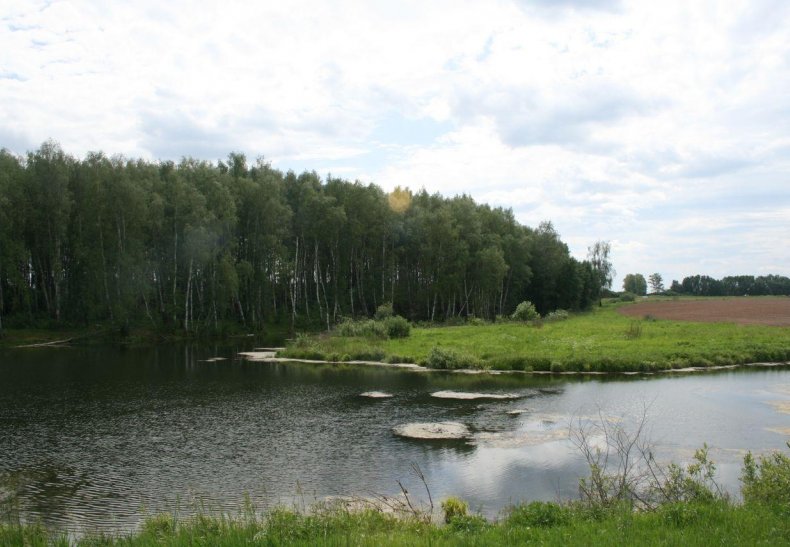 ЖК «Малино», п. Проводник
