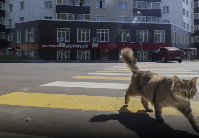 ЖК «На семи холмах», г. Клин