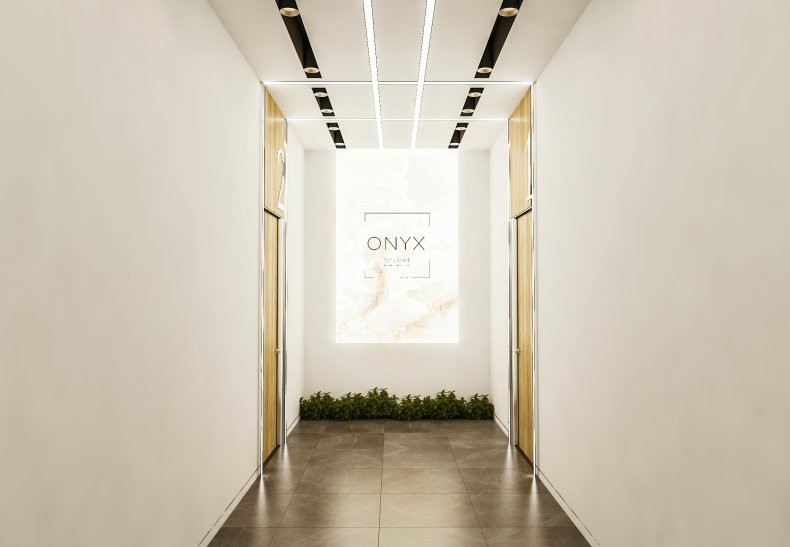 ЖК ONYX Deluxe, м. Зюзино