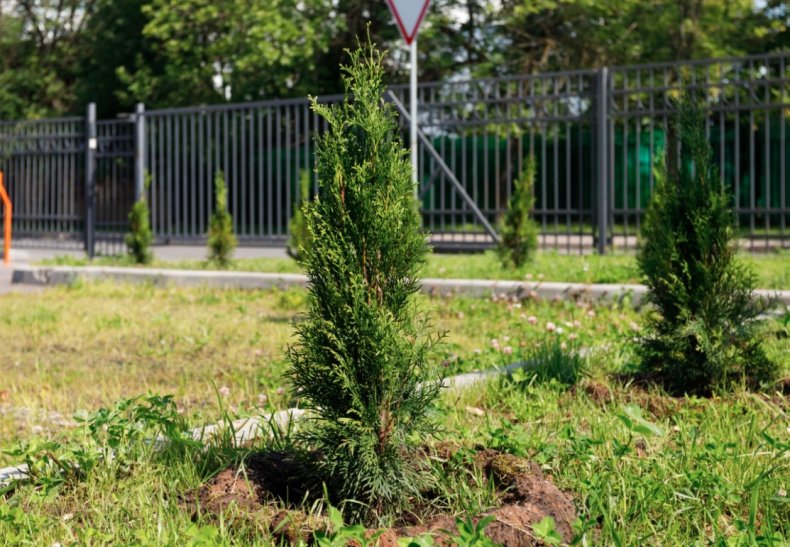 ЖК «Счастье в Олимпийской деревне», м. Озерная