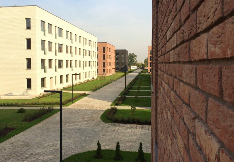 �� ��������, �. ����������