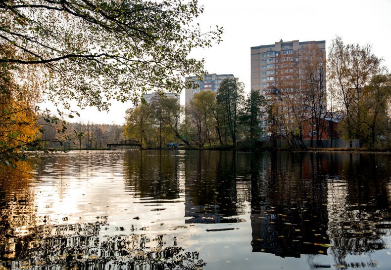 �� �������������, ���������� �-�, ���. ������������