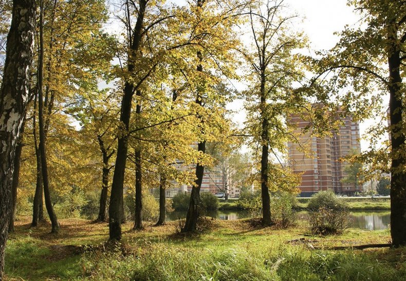 �� ��������, �. ��������