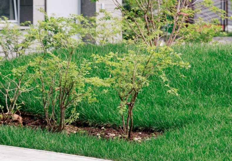 �� �������� � ����������, �. ������������