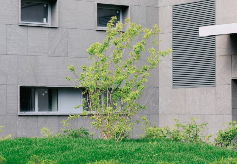 �� �������� � ����������, �. ������������