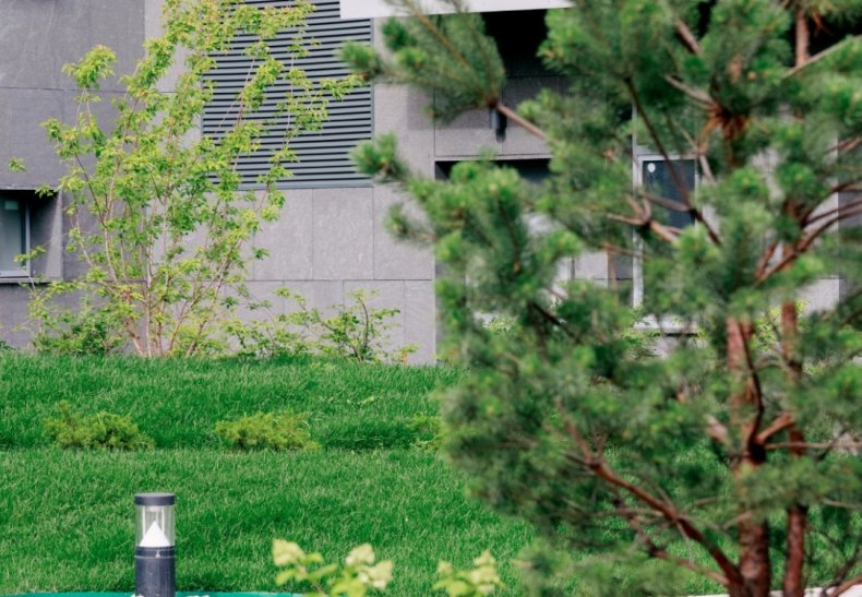 �� �������� � ����������, �. ������������