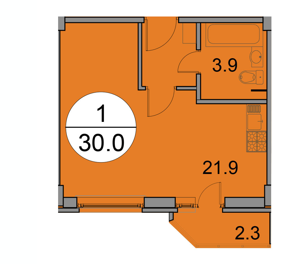 7 этаж 1-комнатн. 30 кв.м.